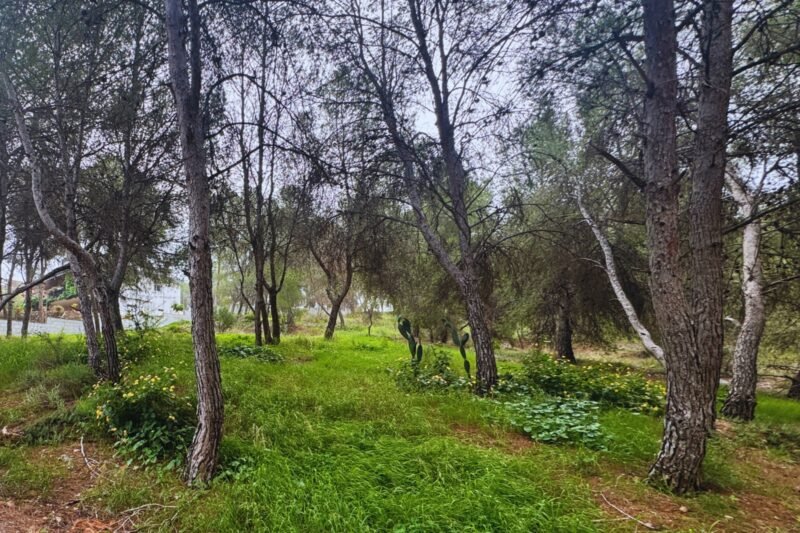 Terreno en Calle San José de la Montaña, 15