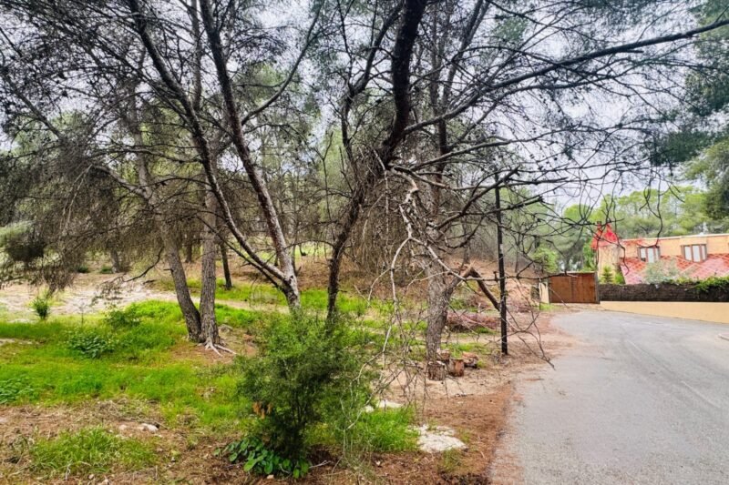 Terreno en Calle San José de la Montaña, 15